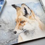 animal, fox, nature-3546613.jpg